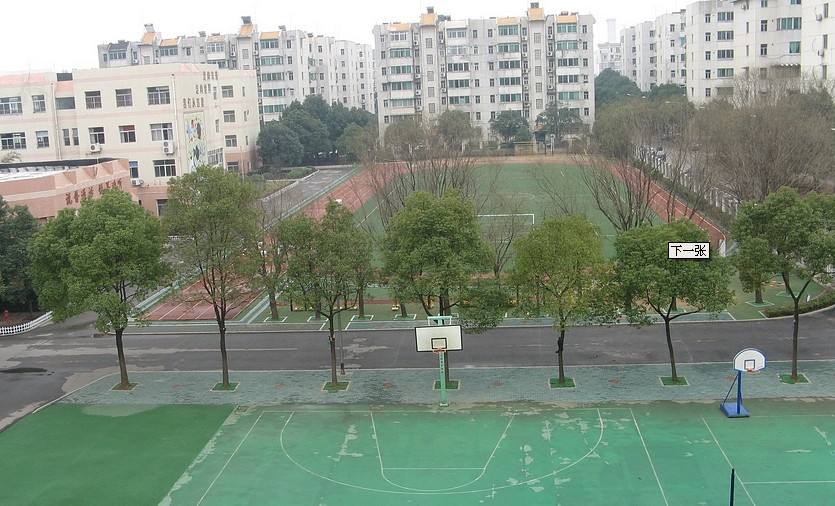 神龙小学.jpg