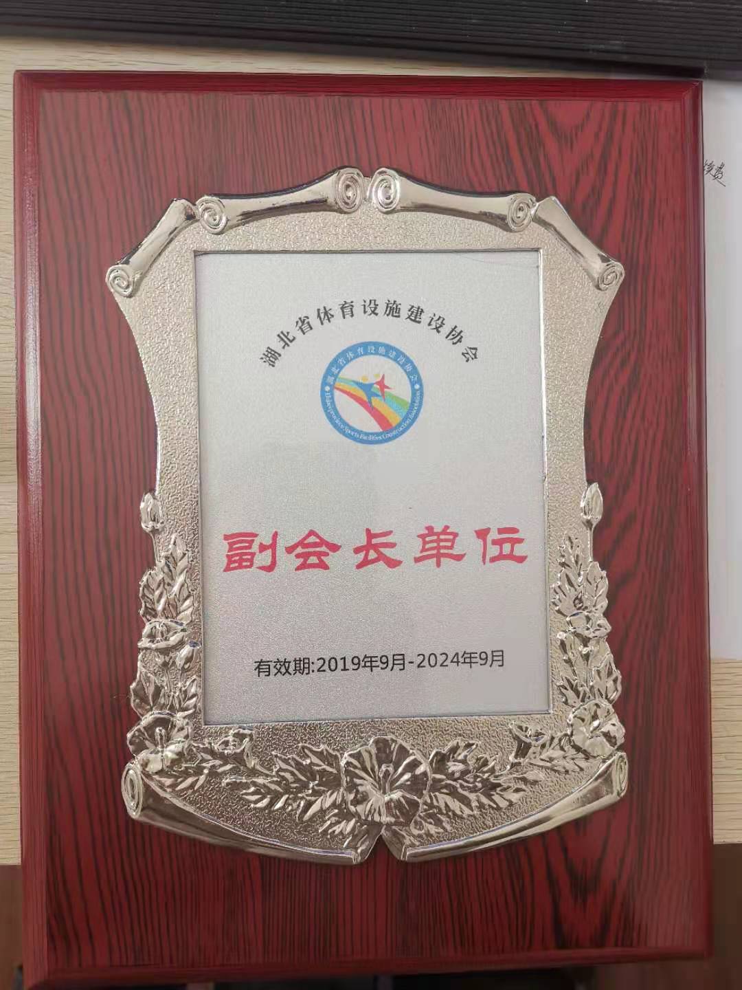 建设协会副会长单位.jpg
